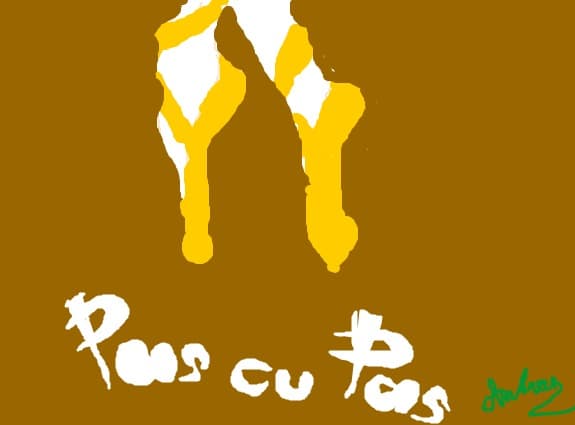 pas cu pas...