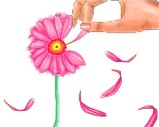 Desen 40505 modificat:Gerbera