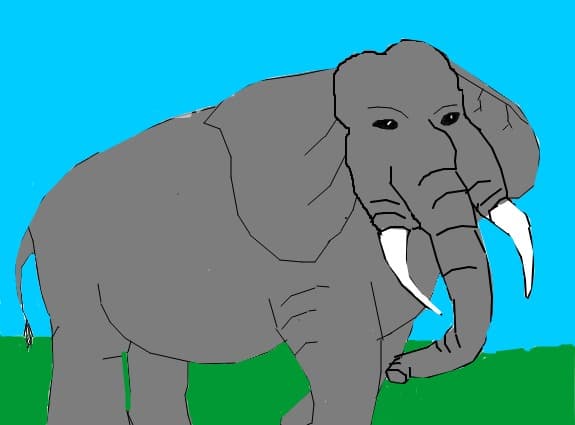 Elefant