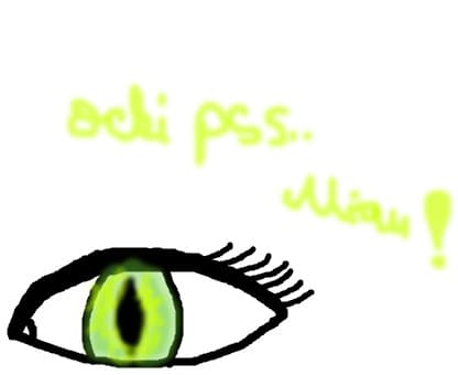 ochi de pisica..te vrajesc?