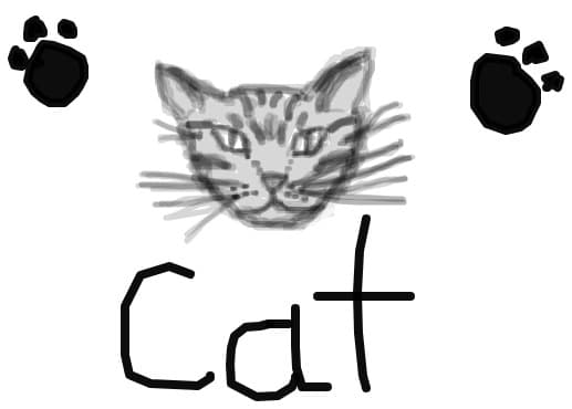 cat