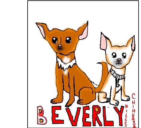 Beverly Hills Chihuahua