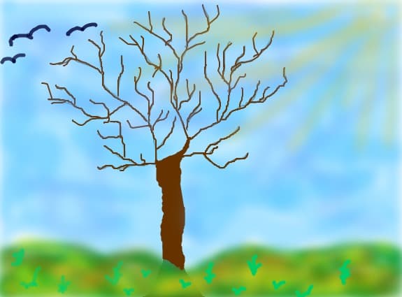 natura :)