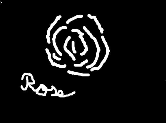 rose