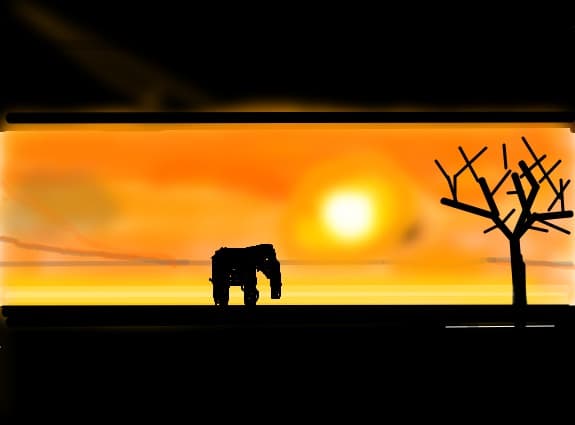 safari