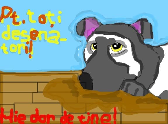 un catel pe parchet