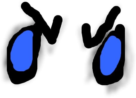 Ochi