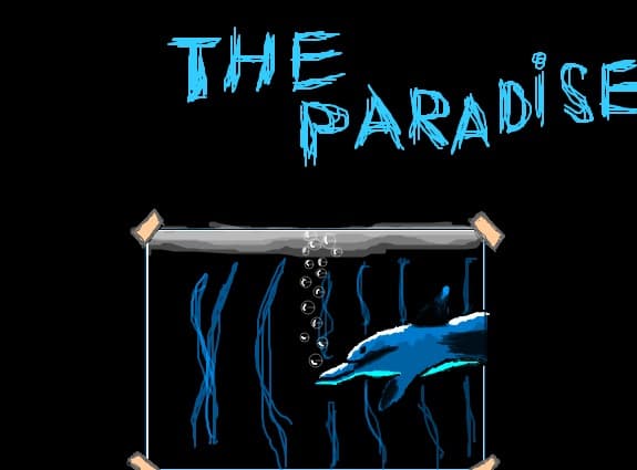 the paradise