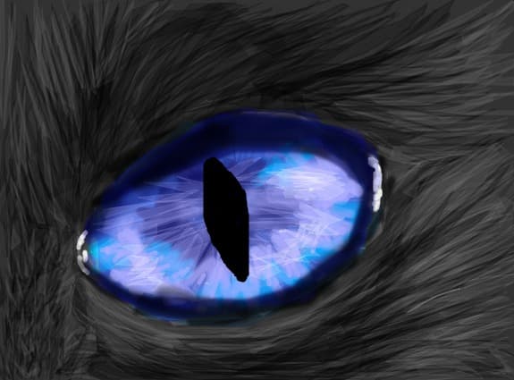 cat eye