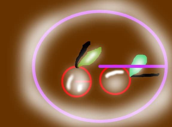 Cirese gustacioase