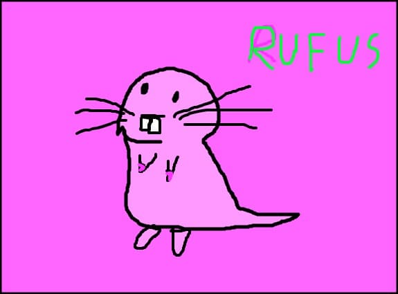rufus