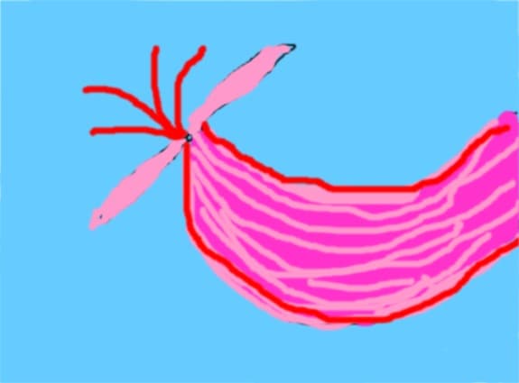 pink mermaid