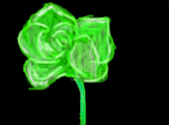 rose