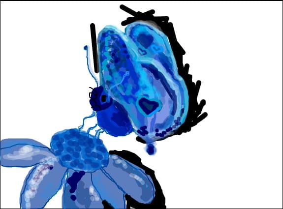 Blue Butterfly