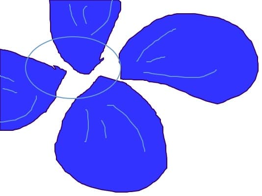 floare