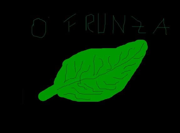 o frunza