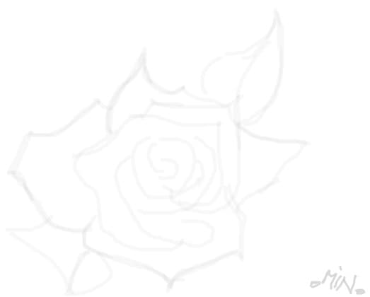 rose2