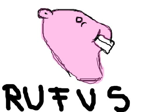 rufus