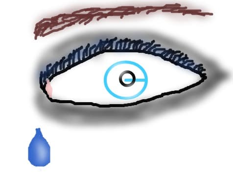 ochi