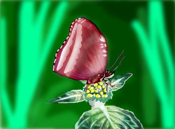 fluture