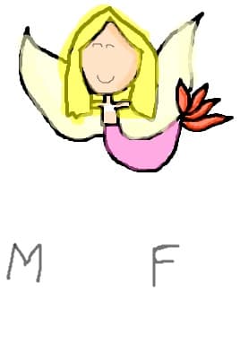 mf mermaid fairy