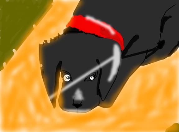 blacky