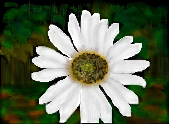 margareta