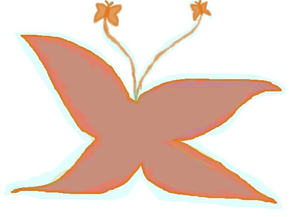 buterfly urat de ...:::Hinata:.:Fan:::...