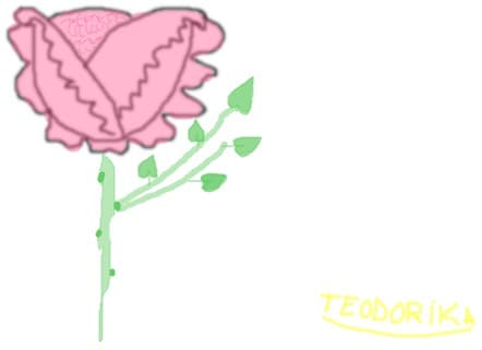 rose
