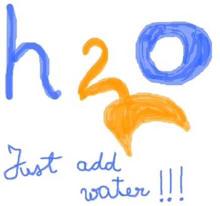 h2o