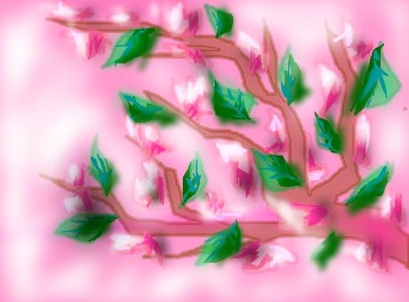 Sakura