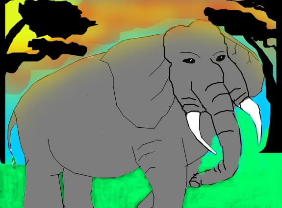 elefant
