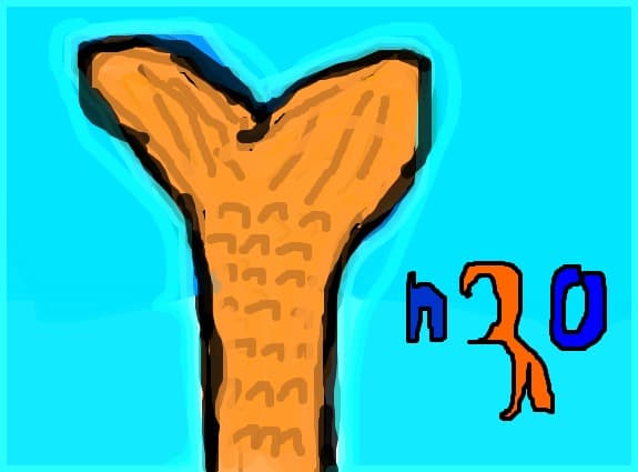 h2o