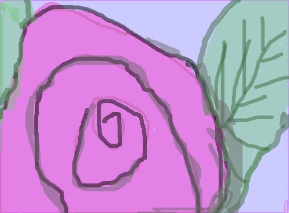 the pink rose