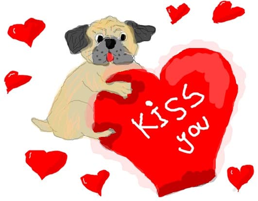 a dog
