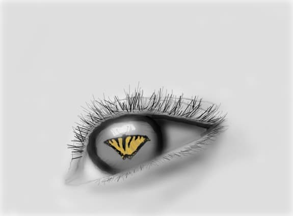 Eye Butterfly