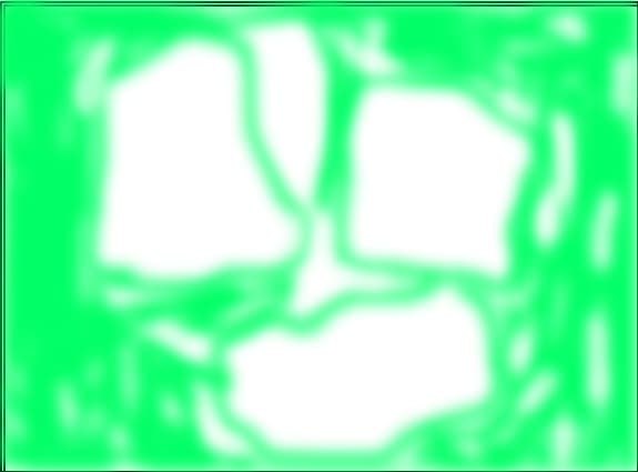 FANTOME