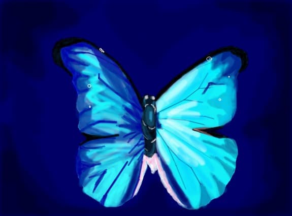 dyly10