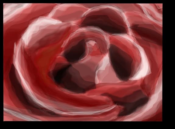 ...another rose for another you...