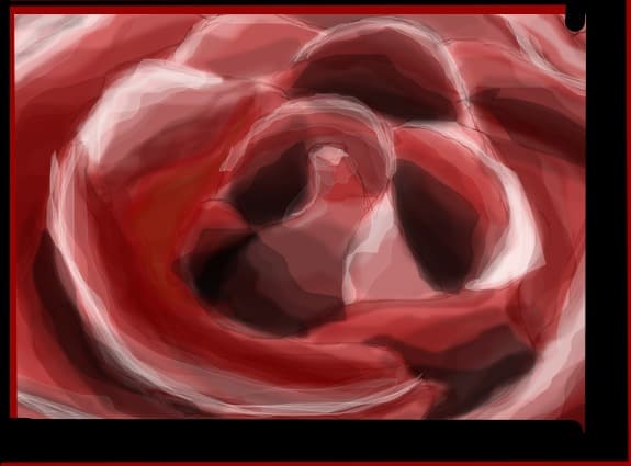 another rose for another you...