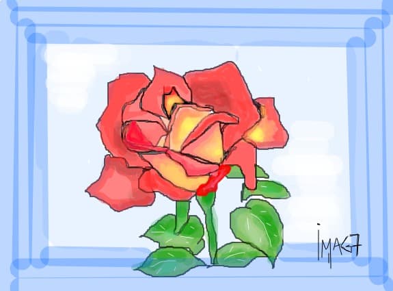 roses