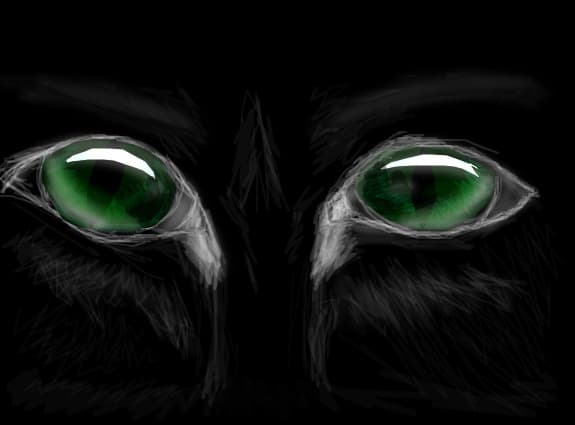 eyes.