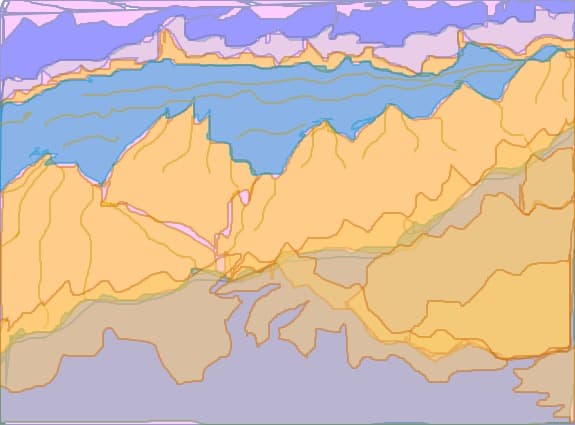 insula