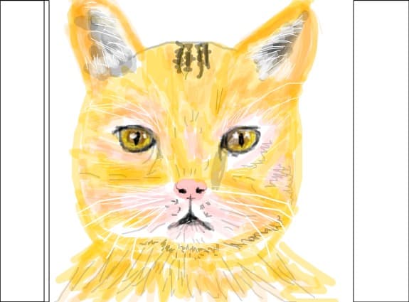kitty