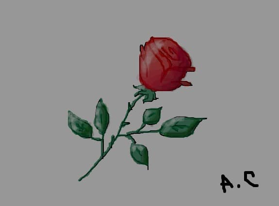 Desen 4592 modificat:..