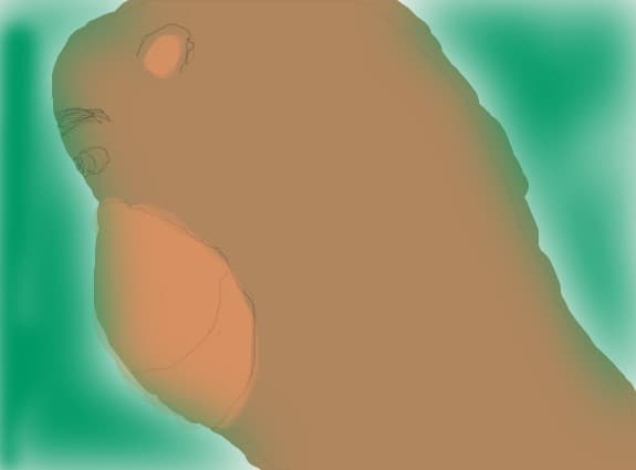 A monkey