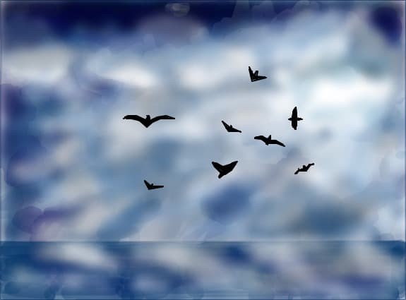 birds