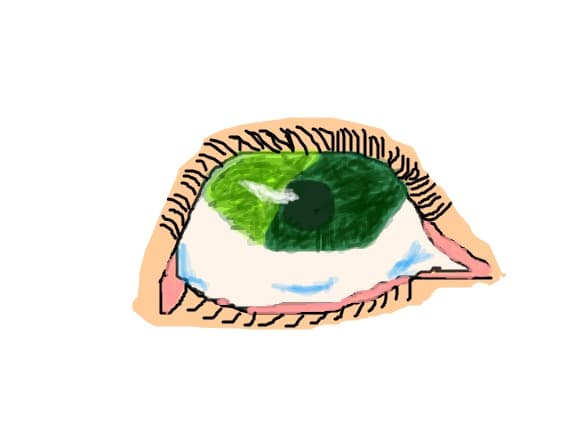 ochi