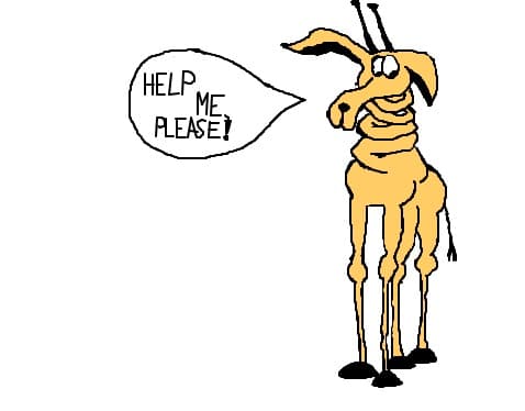 Help me, please!