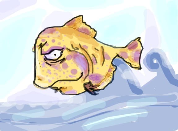 fish